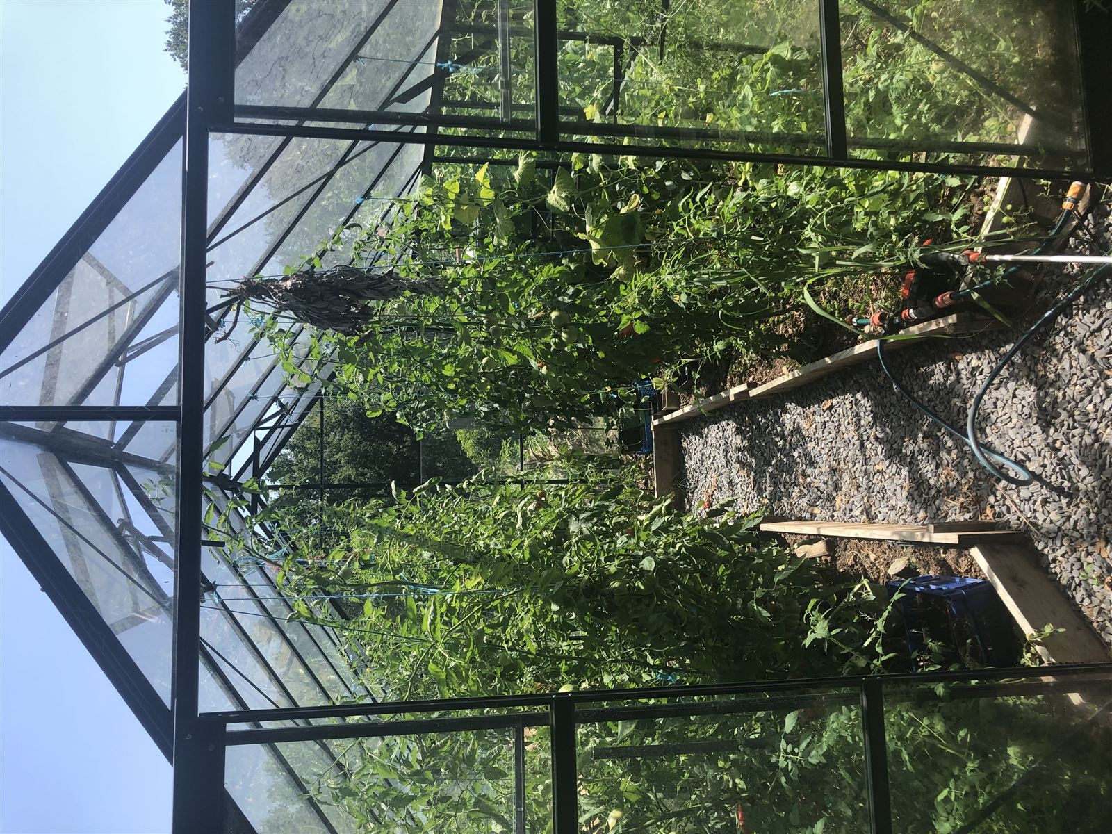 La serre du potager de Marc & Fred, cuisine aux produits locaux près d'Albi